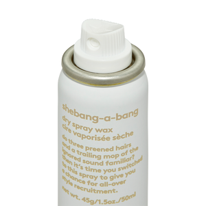 Shebang-a-Bang Dry Spray Wax 10g
